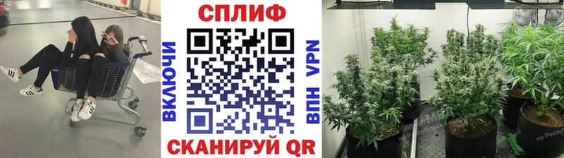 Бошки Шишки THC 21% Краснотурьинск
